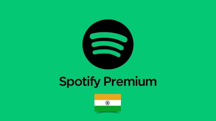 Spotify 330 INR
